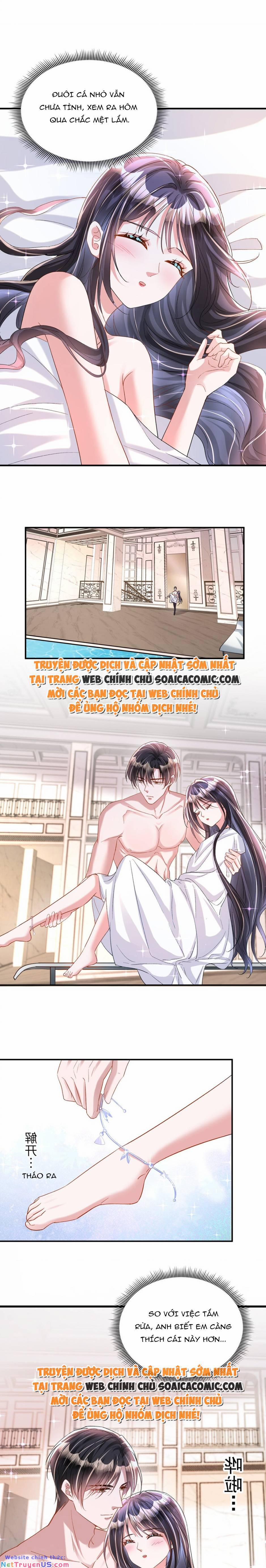 Tổng Tài Huyết Tộc Cực Sủng Cô Vợ Mỹ Nhân Ngư 105 trang 9