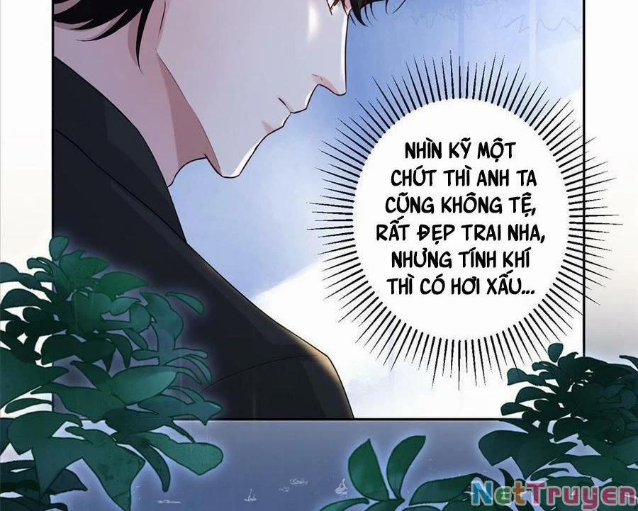 Tổng Tài Huyết Tộc Cực Sủng Cô Vợ Mỹ Nhân Ngư 11 trang 4