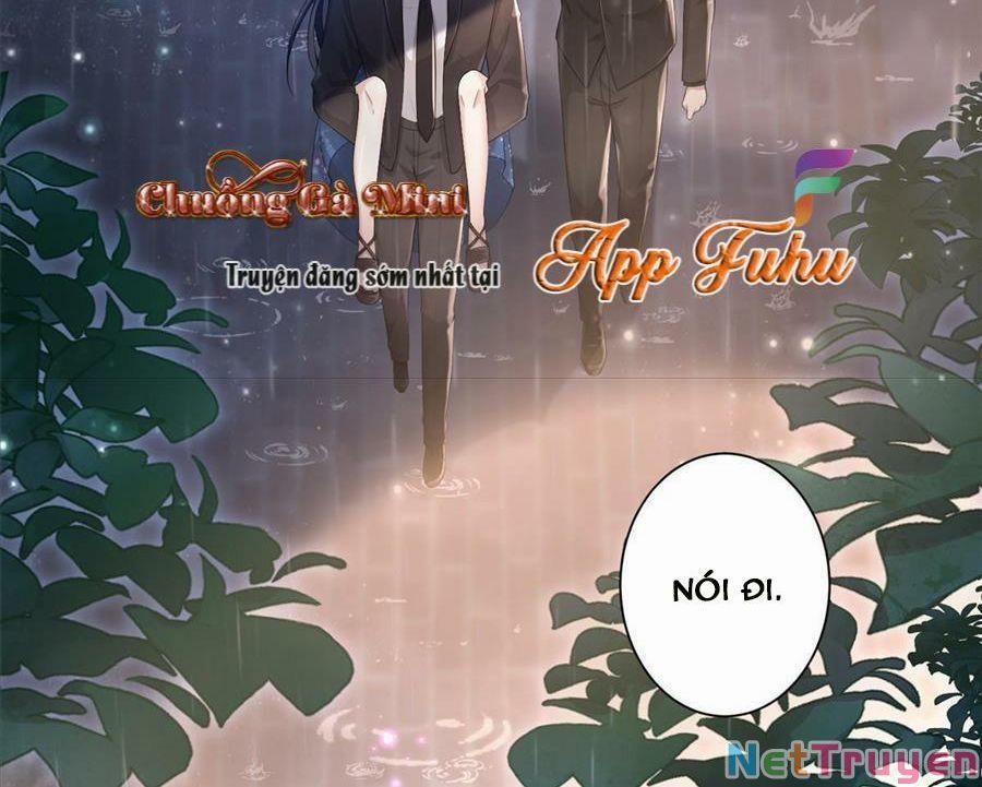 Tổng Tài Huyết Tộc Cực Sủng Cô Vợ Mỹ Nhân Ngư 11 trang 6