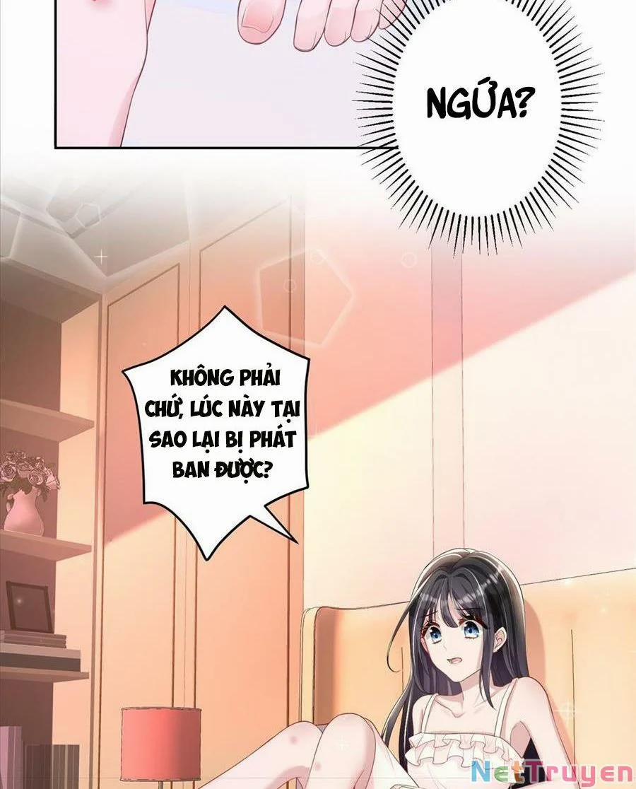 Tổng Tài Huyết Tộc Cực Sủng Cô Vợ Mỹ Nhân Ngư 13 trang 13