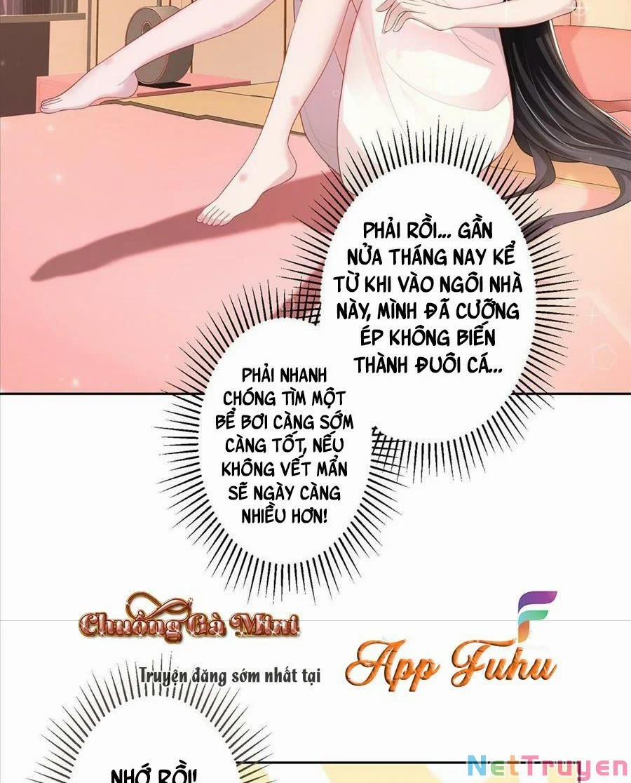 Tổng Tài Huyết Tộc Cực Sủng Cô Vợ Mỹ Nhân Ngư 13 trang 14