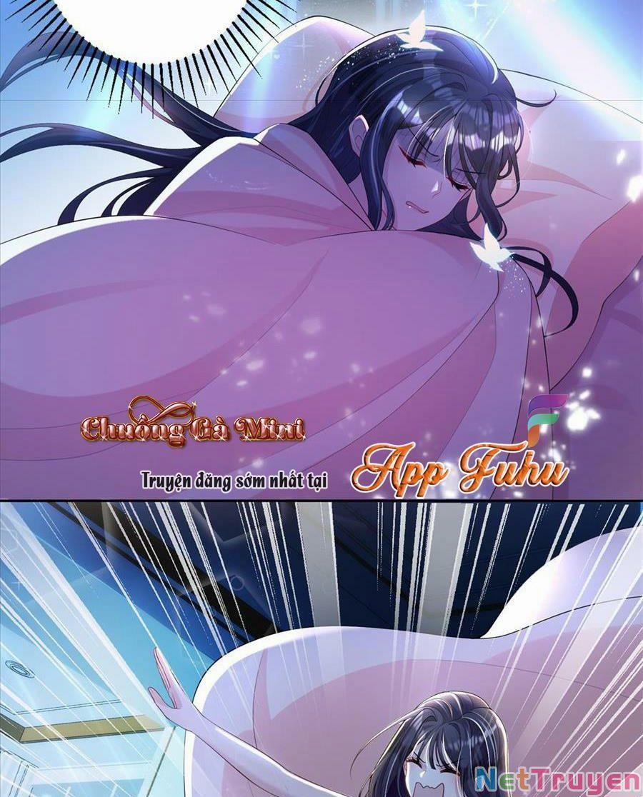 Tổng Tài Huyết Tộc Cực Sủng Cô Vợ Mỹ Nhân Ngư 13 trang 18