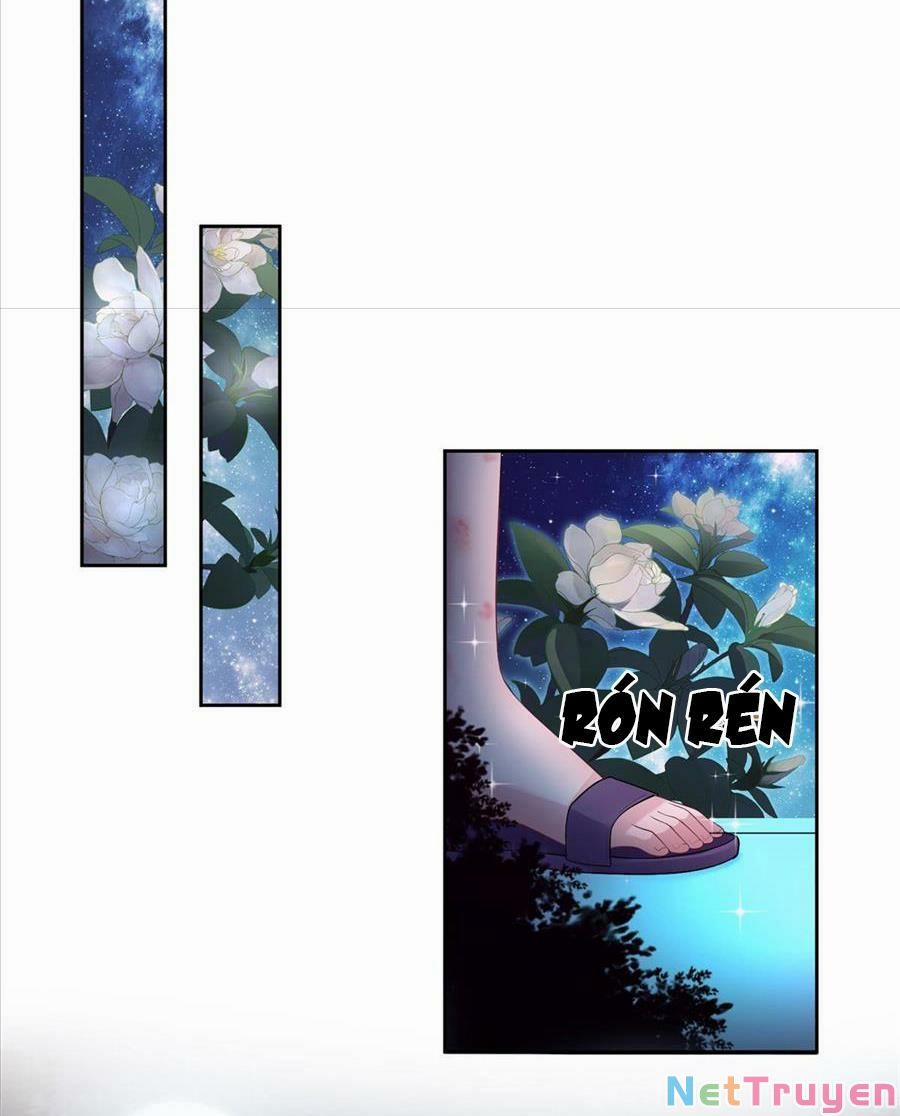 Tổng Tài Huyết Tộc Cực Sủng Cô Vợ Mỹ Nhân Ngư 13 trang 20