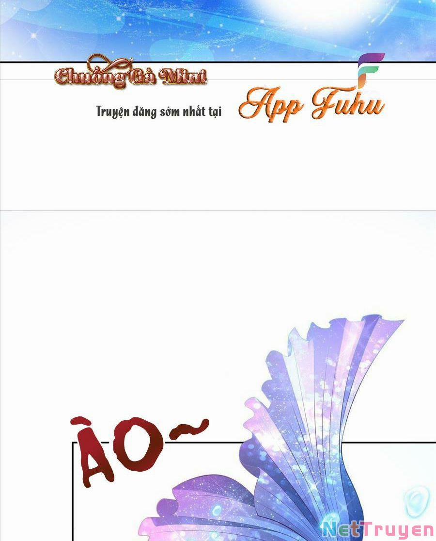 Tổng Tài Huyết Tộc Cực Sủng Cô Vợ Mỹ Nhân Ngư 13 trang 29