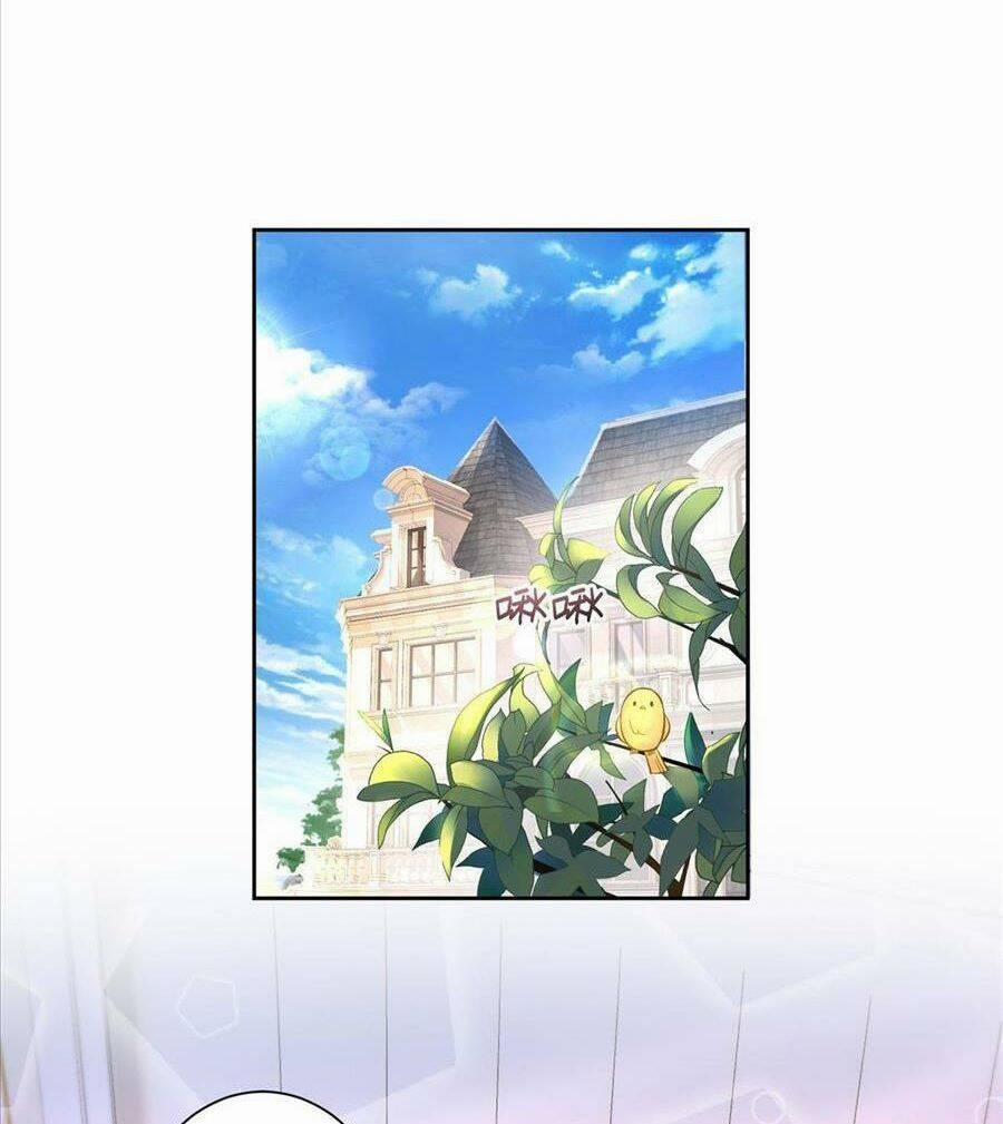 Tổng Tài Huyết Tộc Cực Sủng Cô Vợ Mỹ Nhân Ngư 17 trang 3