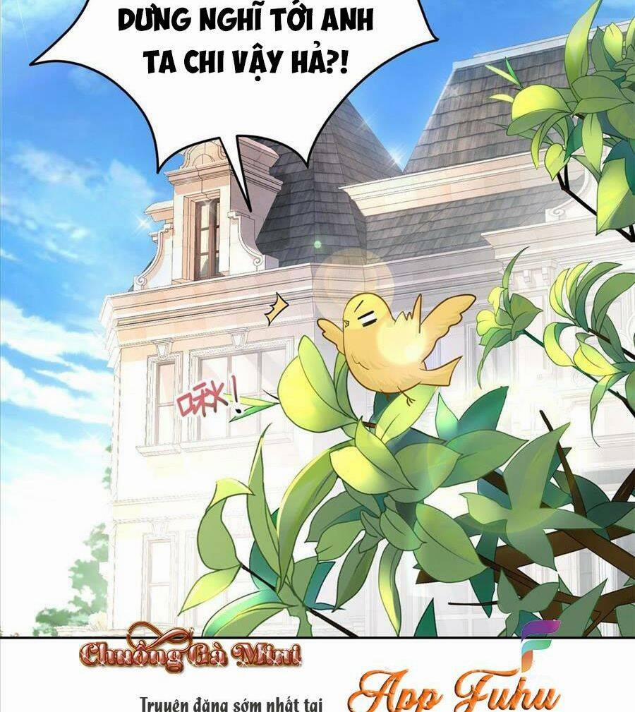 Tổng Tài Huyết Tộc Cực Sủng Cô Vợ Mỹ Nhân Ngư 17 trang 9