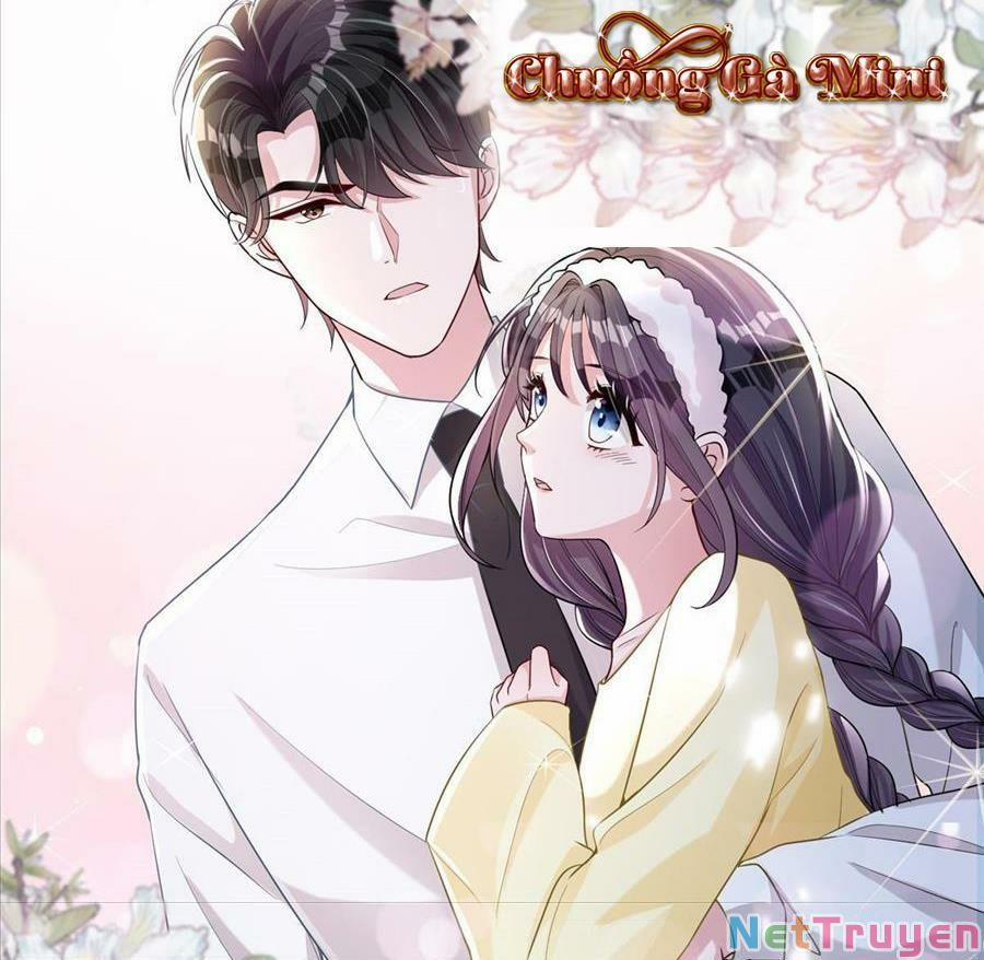 Tổng Tài Huyết Tộc Cực Sủng Cô Vợ Mỹ Nhân Ngư 19 trang 0