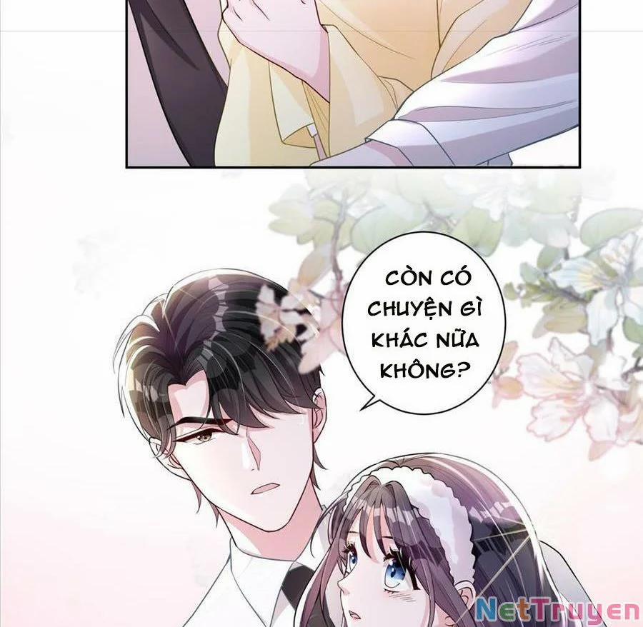 Tổng Tài Huyết Tộc Cực Sủng Cô Vợ Mỹ Nhân Ngư 19 trang 14