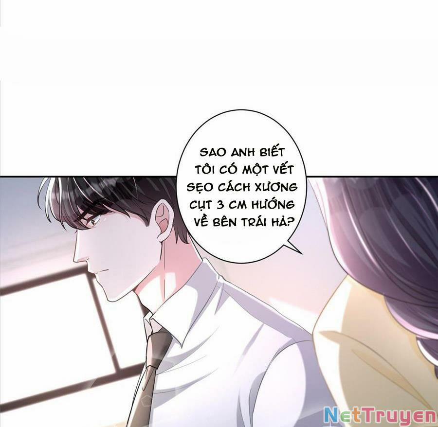 Tổng Tài Huyết Tộc Cực Sủng Cô Vợ Mỹ Nhân Ngư 19 trang 32