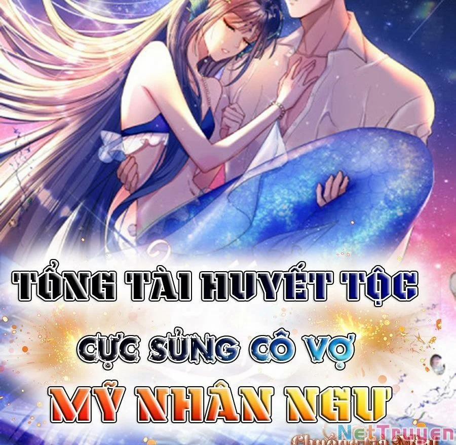 Tổng Tài Huyết Tộc Cực Sủng Cô Vợ Mỹ Nhân Ngư 19 trang 39