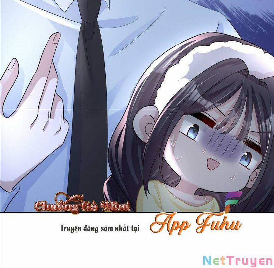 Tổng Tài Huyết Tộc Cực Sủng Cô Vợ Mỹ Nhân Ngư 19 trang 6