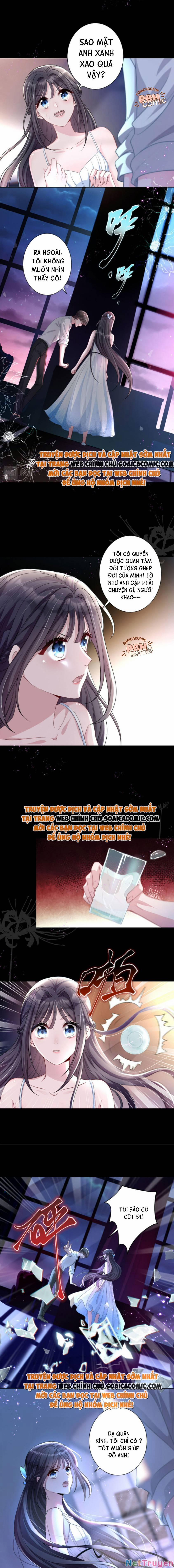 Tổng Tài Huyết Tộc Cực Sủng Cô Vợ Mỹ Nhân Ngư 25 trang 2