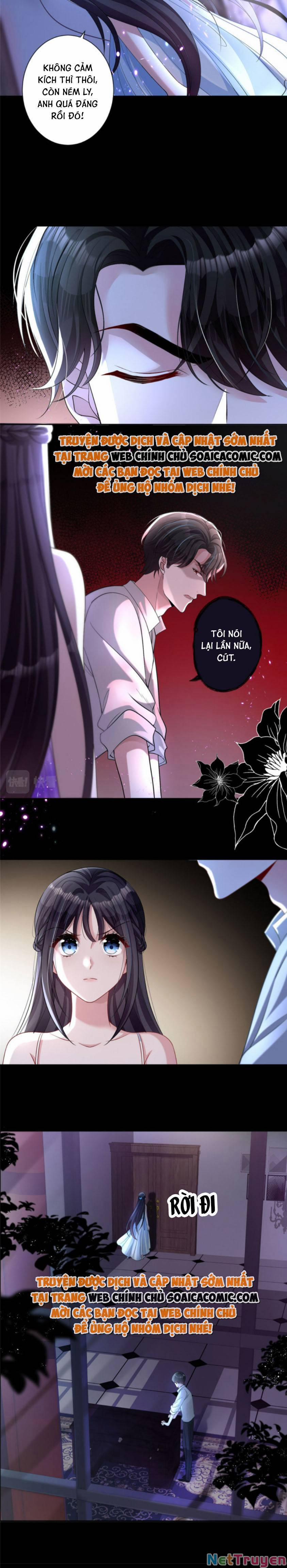 Tổng Tài Huyết Tộc Cực Sủng Cô Vợ Mỹ Nhân Ngư 25 trang 3