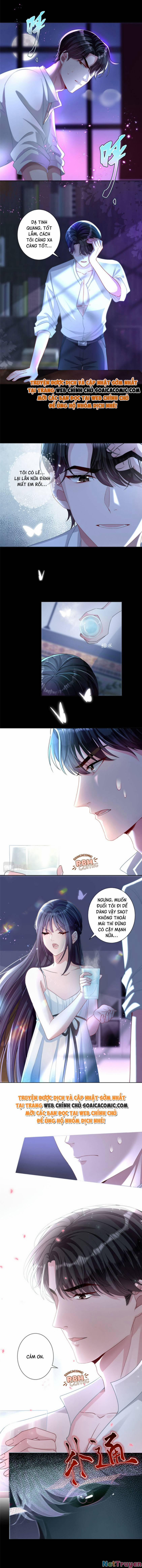 Tổng Tài Huyết Tộc Cực Sủng Cô Vợ Mỹ Nhân Ngư 25 trang 4