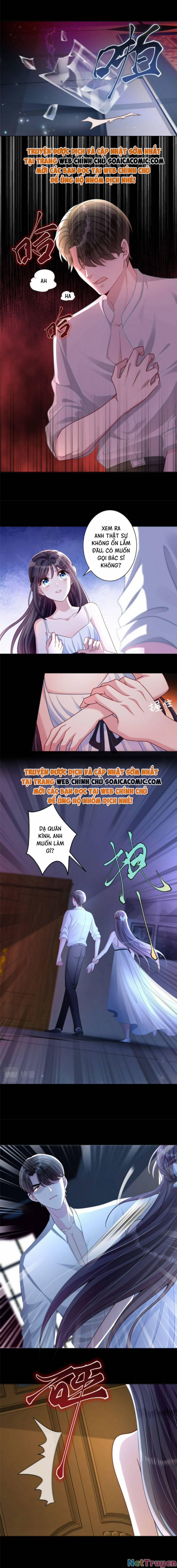 Tổng Tài Huyết Tộc Cực Sủng Cô Vợ Mỹ Nhân Ngư 25 trang 5