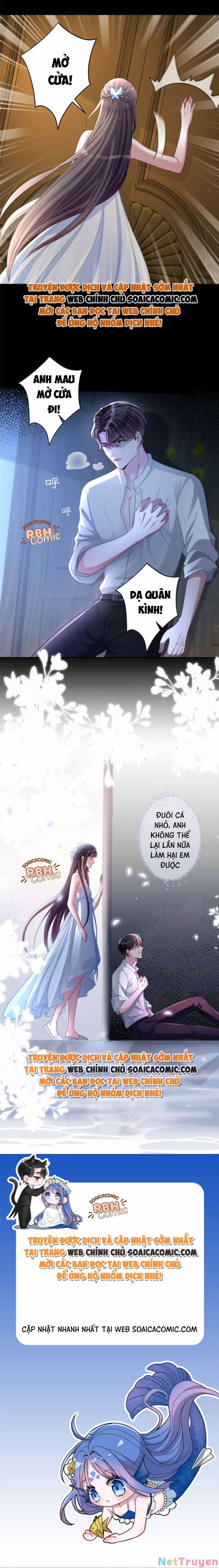 Tổng Tài Huyết Tộc Cực Sủng Cô Vợ Mỹ Nhân Ngư 25 trang 6