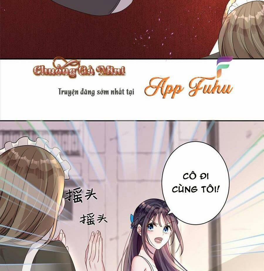 Tổng Tài Huyết Tộc Cực Sủng Cô Vợ Mỹ Nhân Ngư 27 trang 12