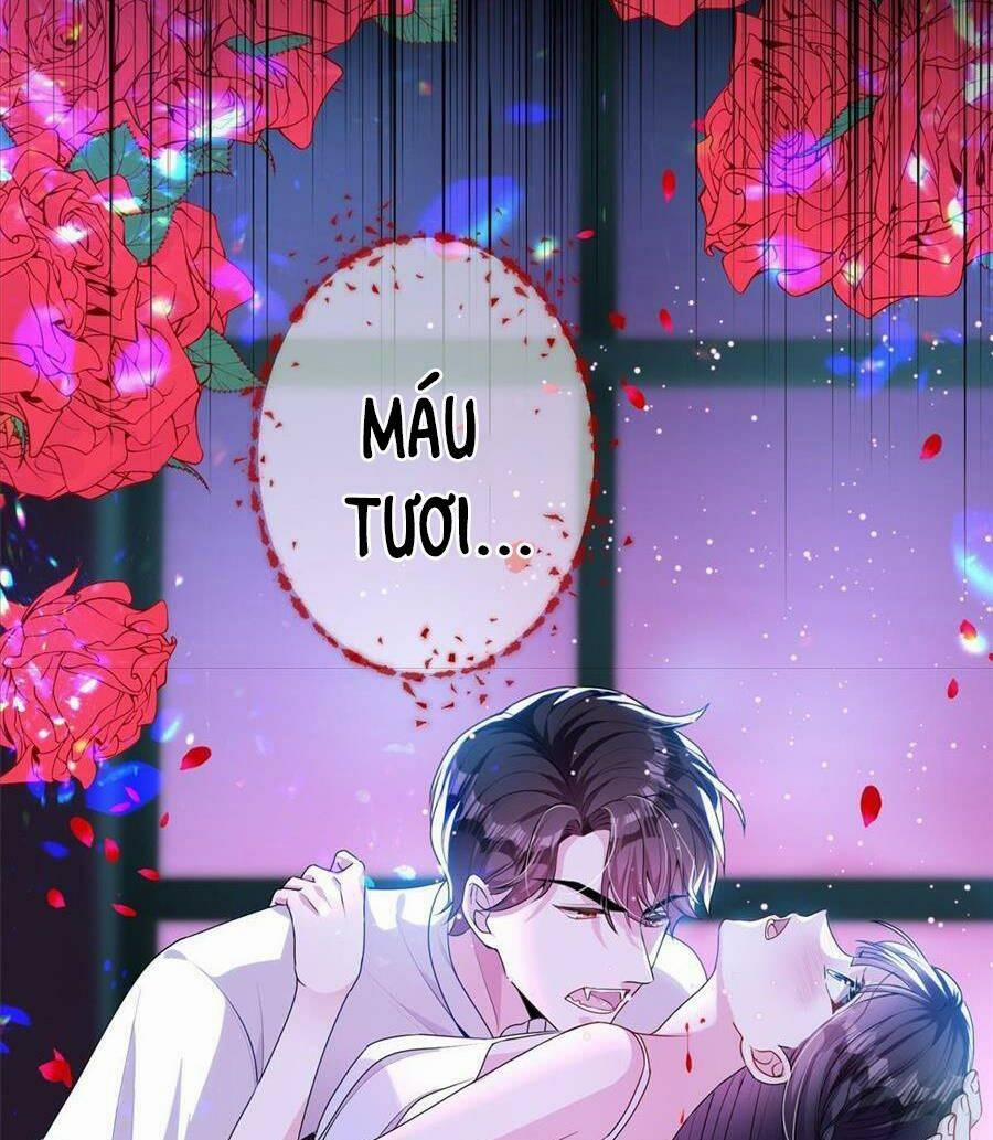 Tổng Tài Huyết Tộc Cực Sủng Cô Vợ Mỹ Nhân Ngư 29 trang 8