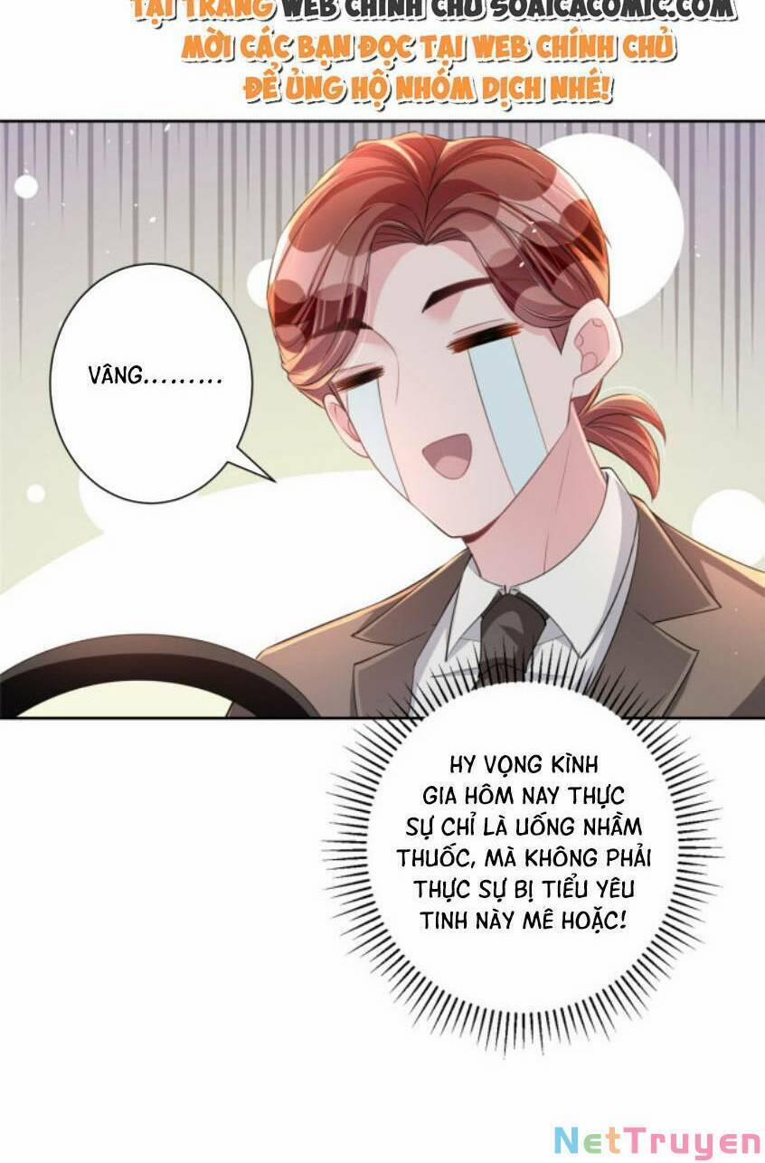 Tổng Tài Huyết Tộc Cực Sủng Cô Vợ Mỹ Nhân Ngư 45 trang 25