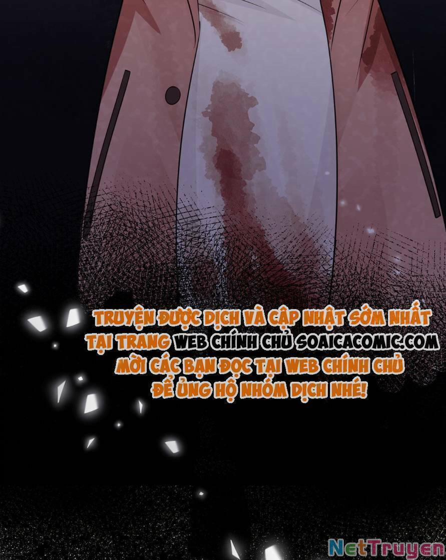 Tổng Tài Huyết Tộc Cực Sủng Cô Vợ Mỹ Nhân Ngư 61 trang 15