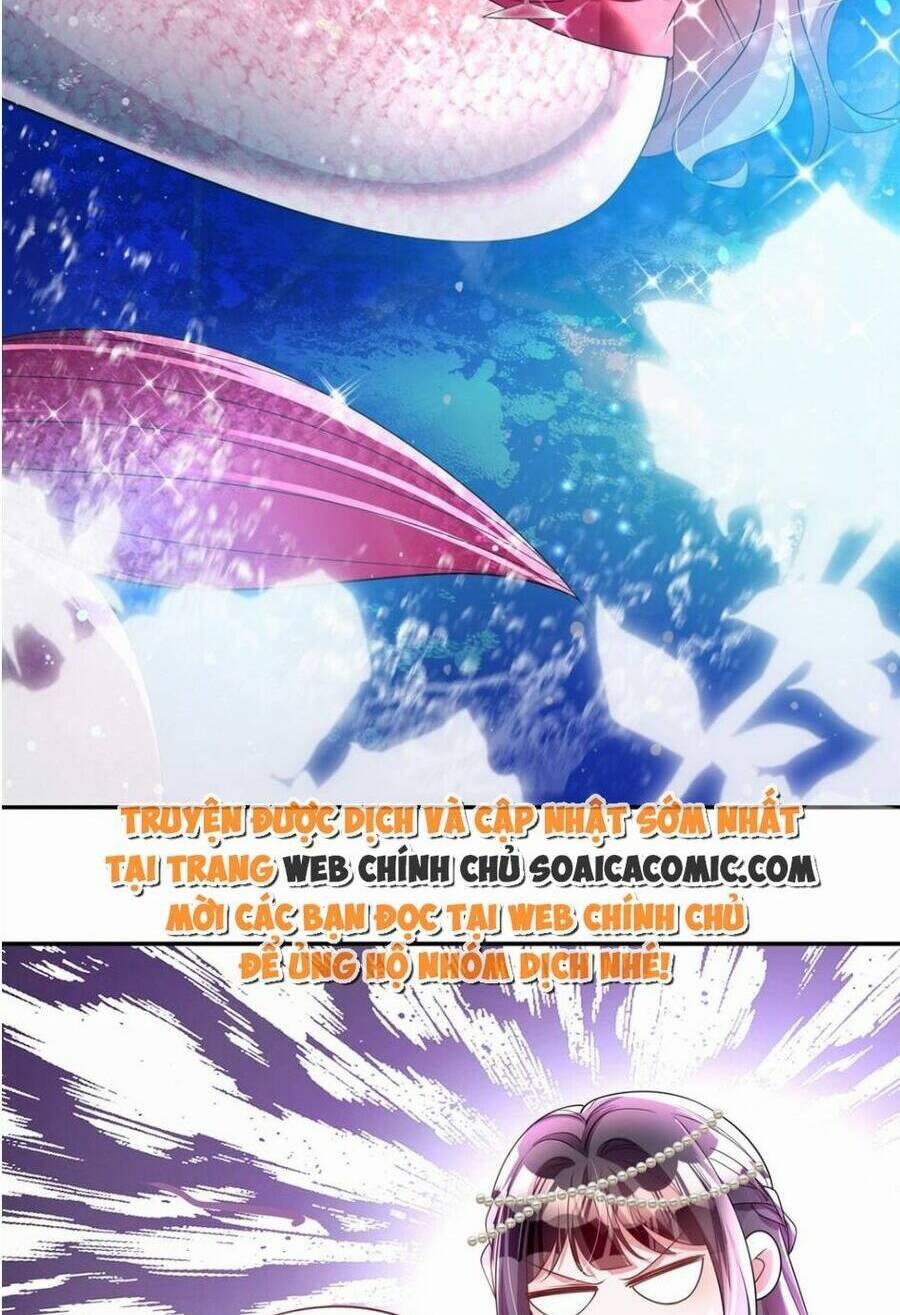 Tổng Tài Huyết Tộc Cực Sủng Cô Vợ Mỹ Nhân Ngư 65 trang 27