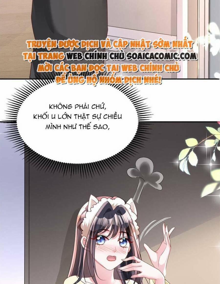 Tổng Tài Huyết Tộc Cực Sủng Cô Vợ Mỹ Nhân Ngư 70 trang 8