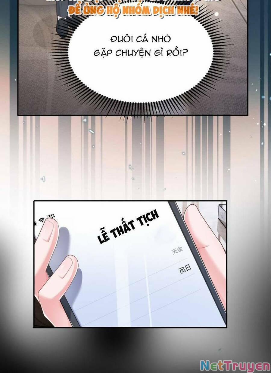 Tổng Tài Huyết Tộc Cực Sủng Cô Vợ Mỹ Nhân Ngư 71 trang 1