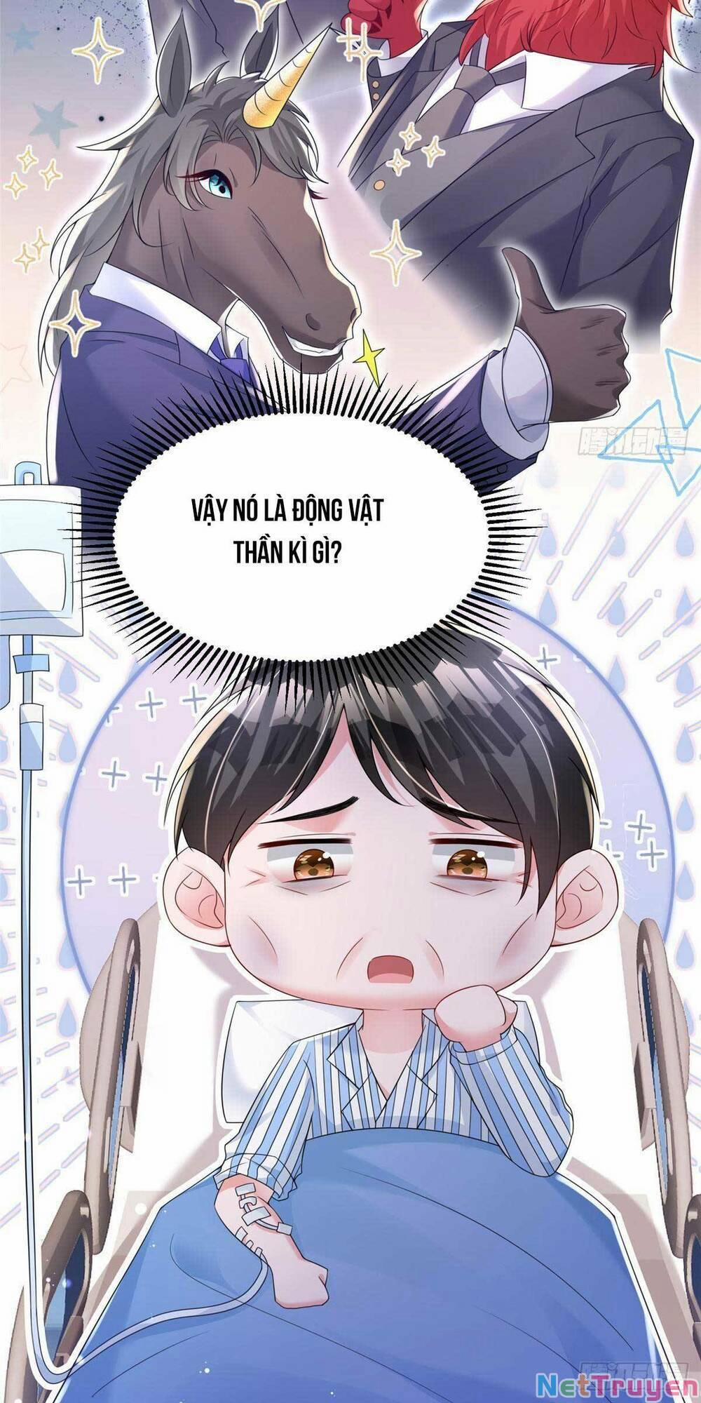 Tổng Tài Huyết Tộc Cực Sủng Cô Vợ Mỹ Nhân Ngư 73 trang 15