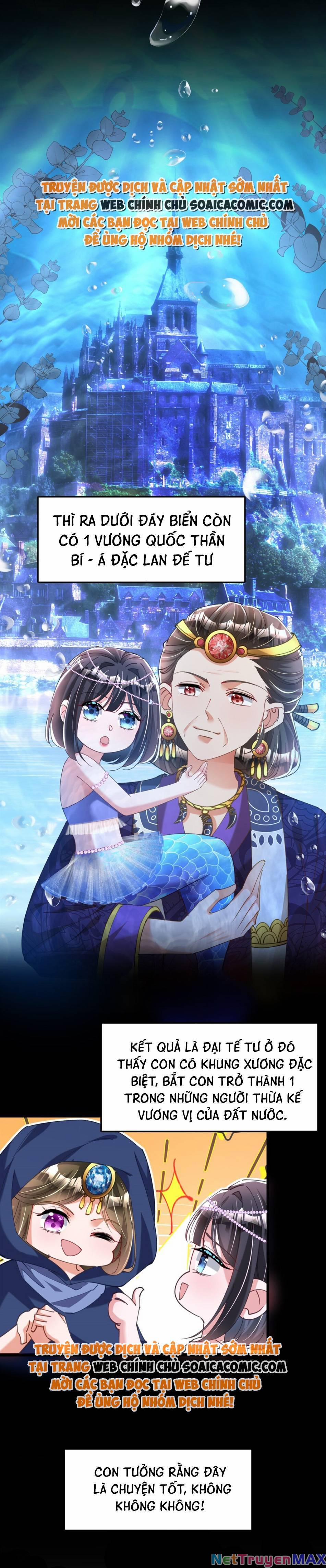 Tổng Tài Huyết Tộc Cực Sủng Cô Vợ Mỹ Nhân Ngư 87 trang 12