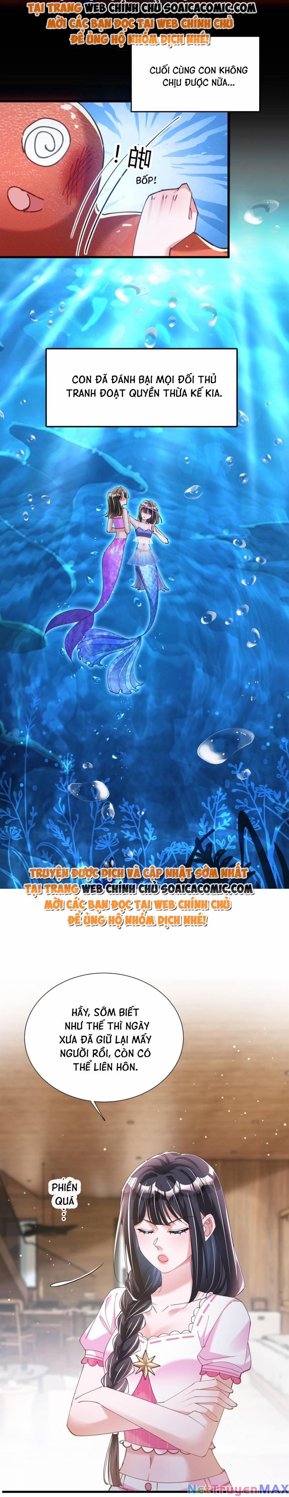 Tổng Tài Huyết Tộc Cực Sủng Cô Vợ Mỹ Nhân Ngư 87 trang 14