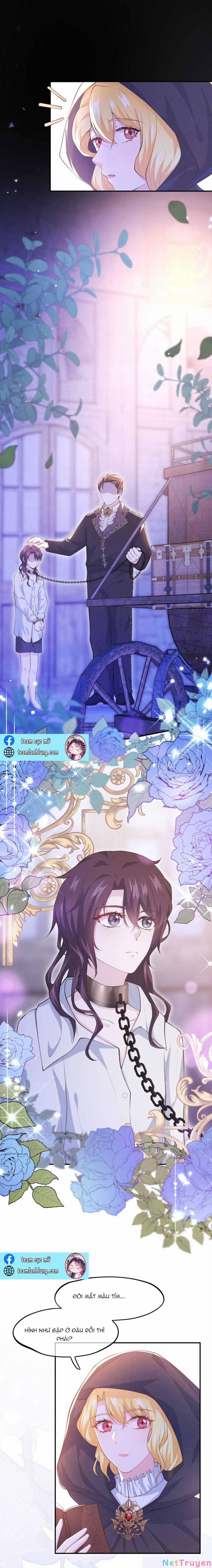 Tổng Tài Huyết Tộc Muốn Giam Cầm Tôi 3 trang 3