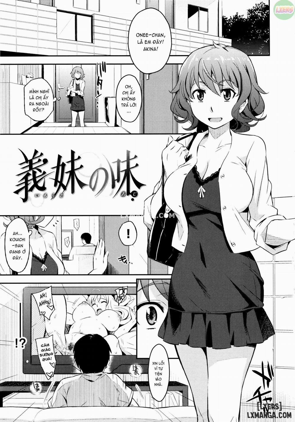 Toraware BOX 6 trang 3