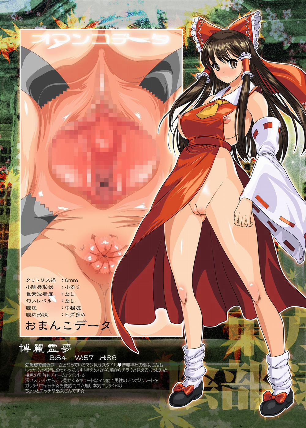 Touhou Inburoku (Touhou) [DLver] Artist [Full Color] trang 3