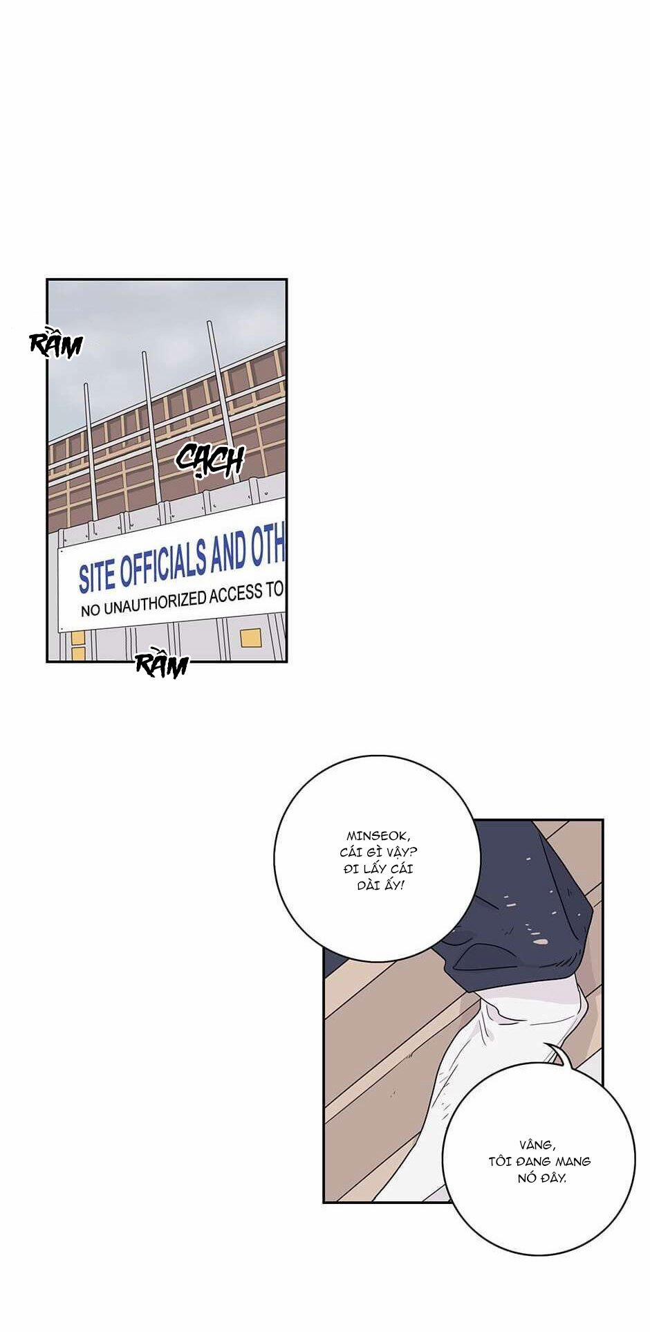 Toy Complex 15 trang 15