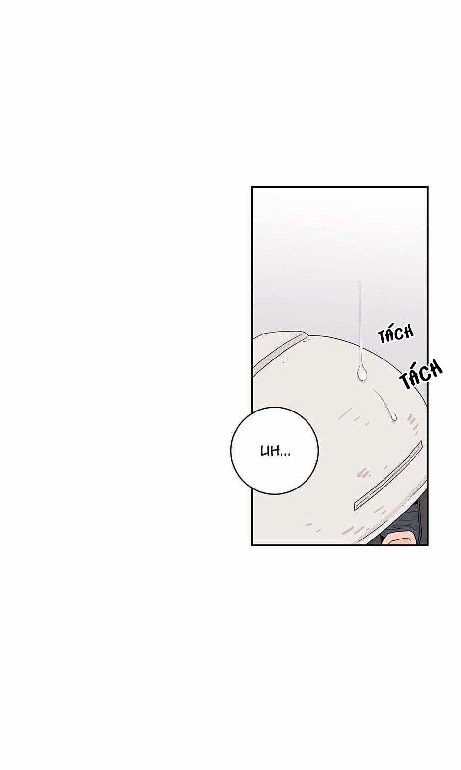 Toy Complex 15 trang 17