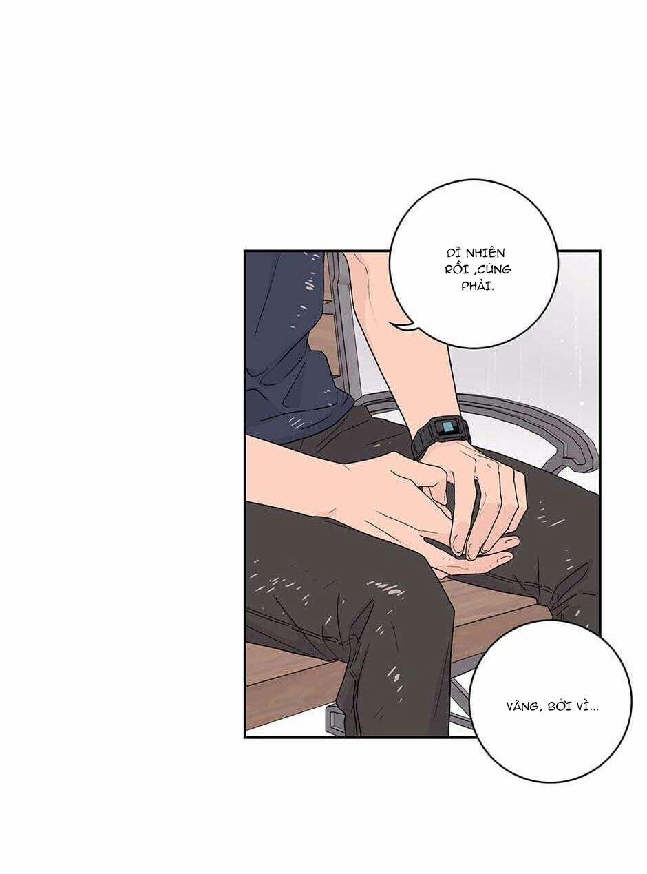 Toy Complex 15 trang 39