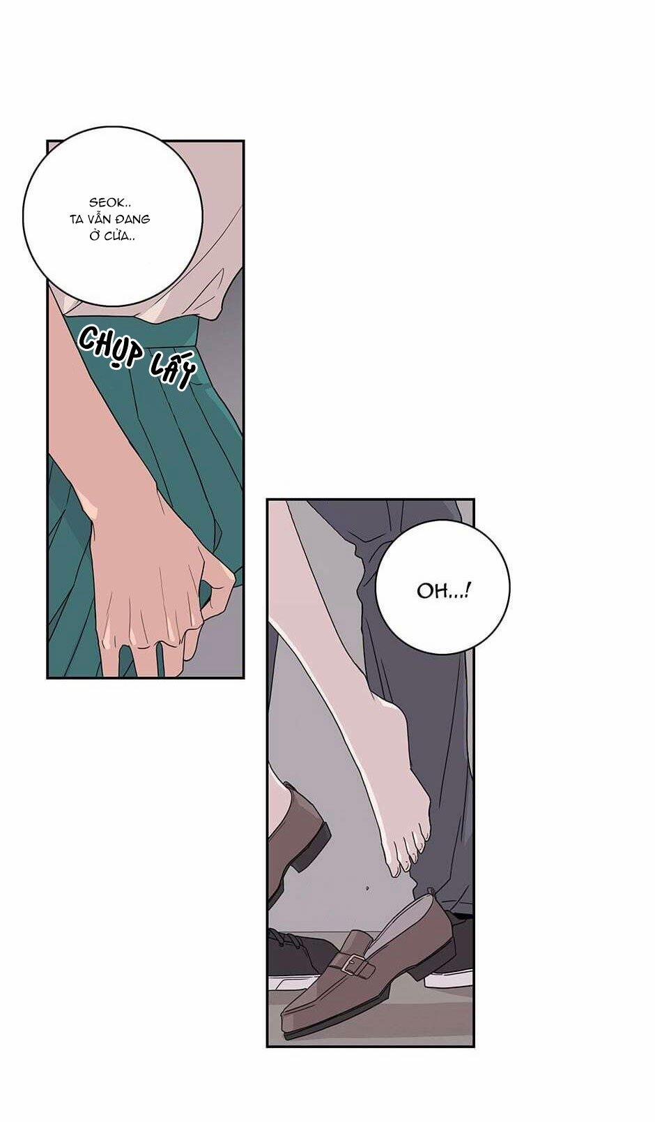 Toy Complex 18 trang 42