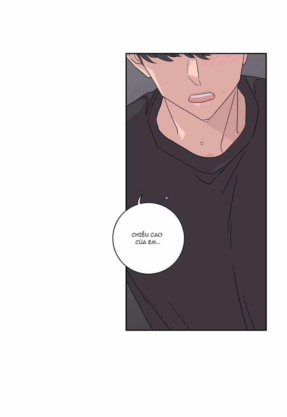 Toy Complex 18 trang 43