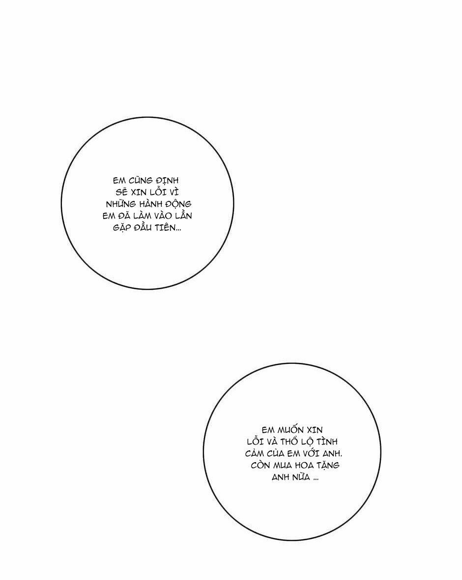 Toy Complex 19 trang 52