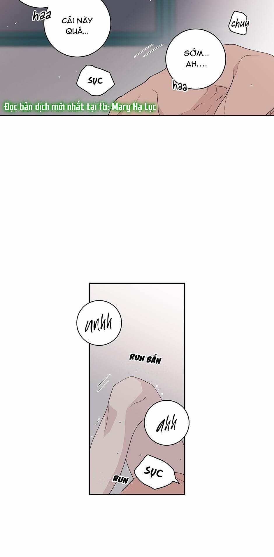 Toy Complex 21 trang 14