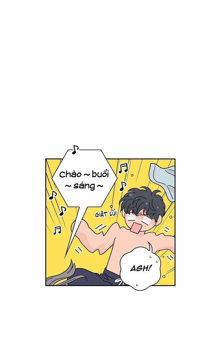 Toy Complex 24 trang 11