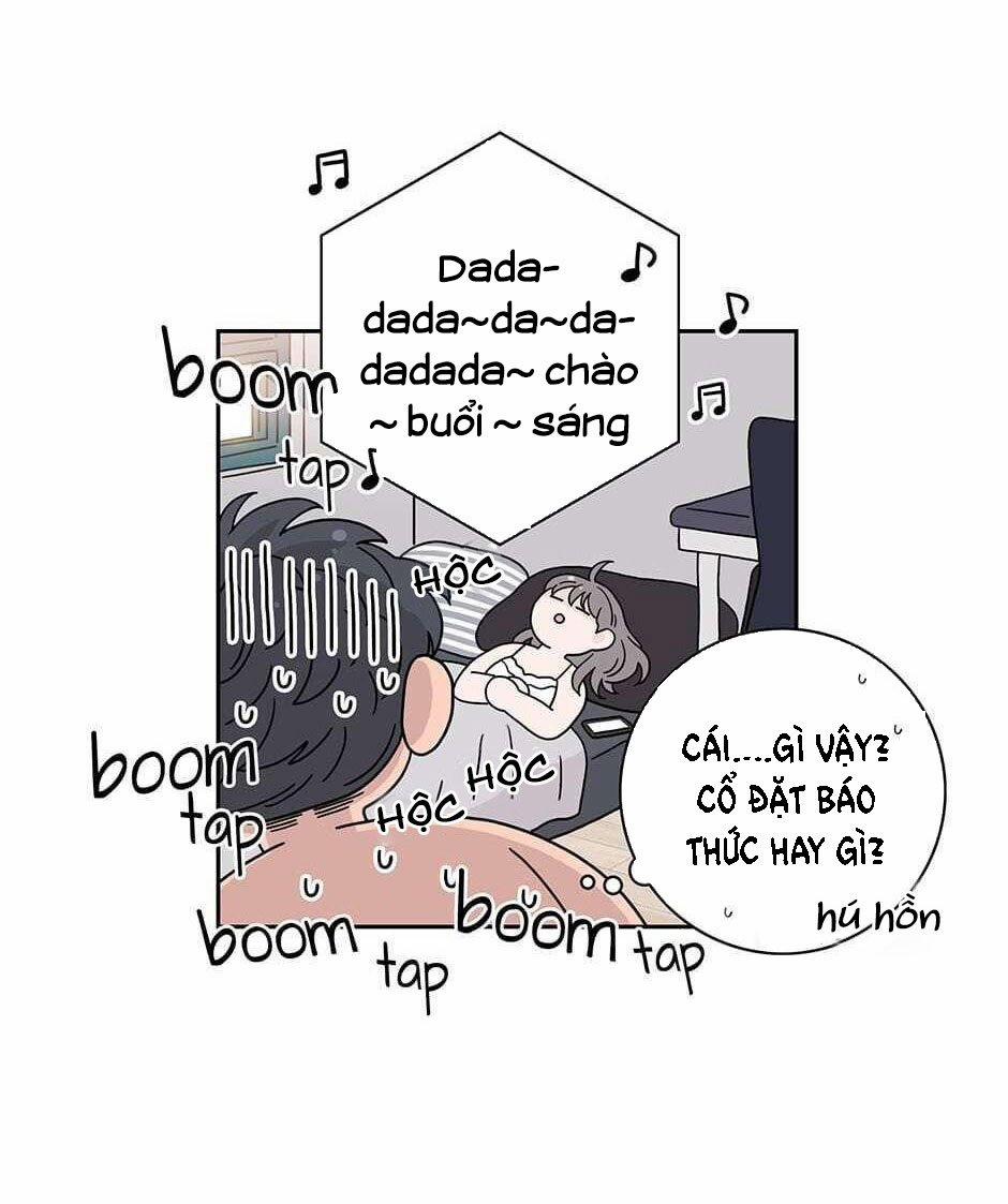 Toy Complex 24 trang 12