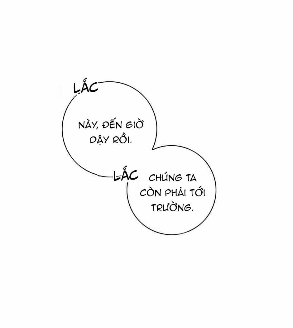 Toy Complex 24 trang 15