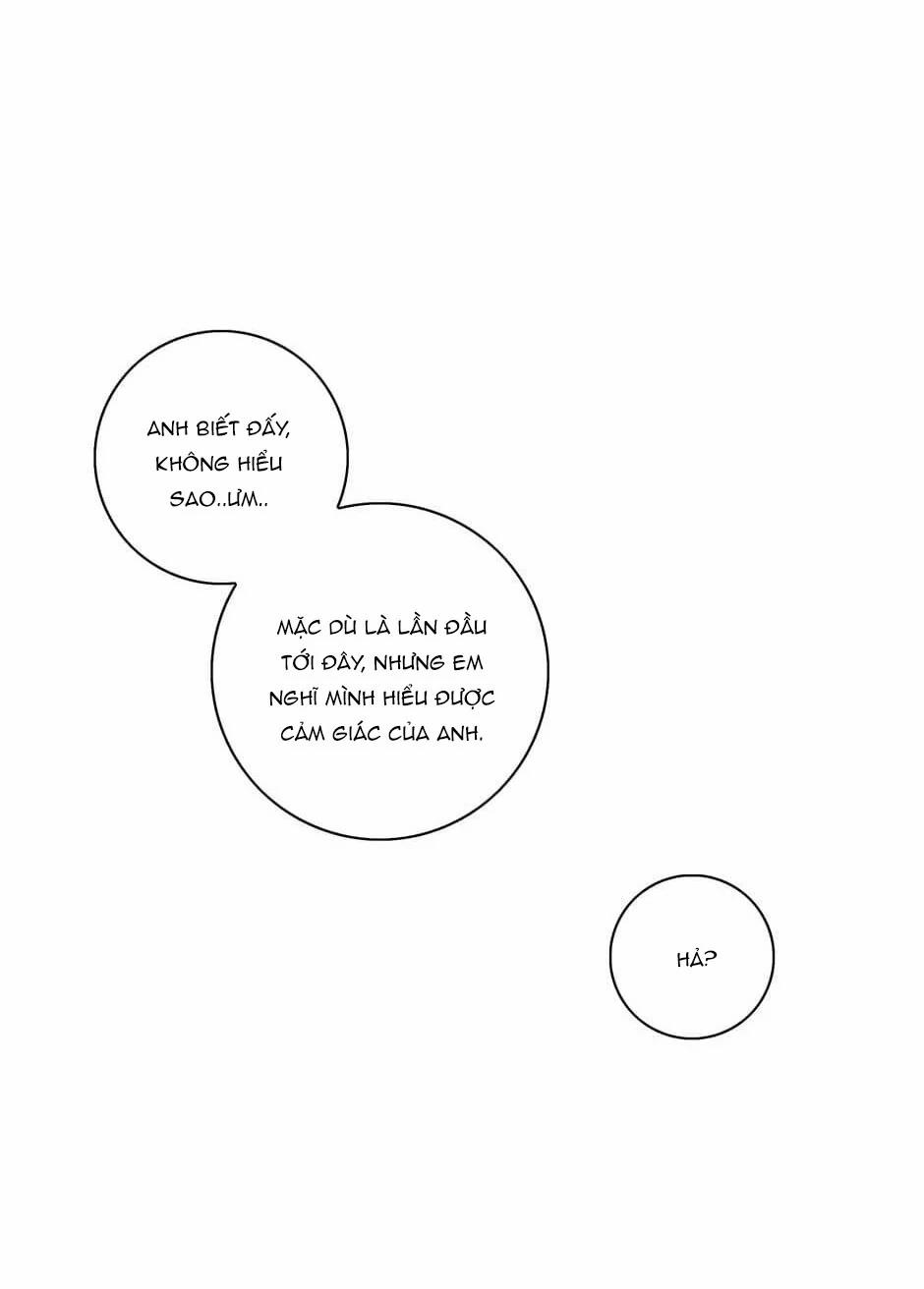 Toy Complex 26 trang 43