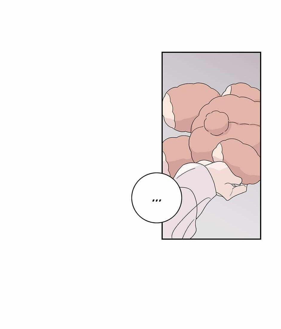 Toy Complex 33 trang 40