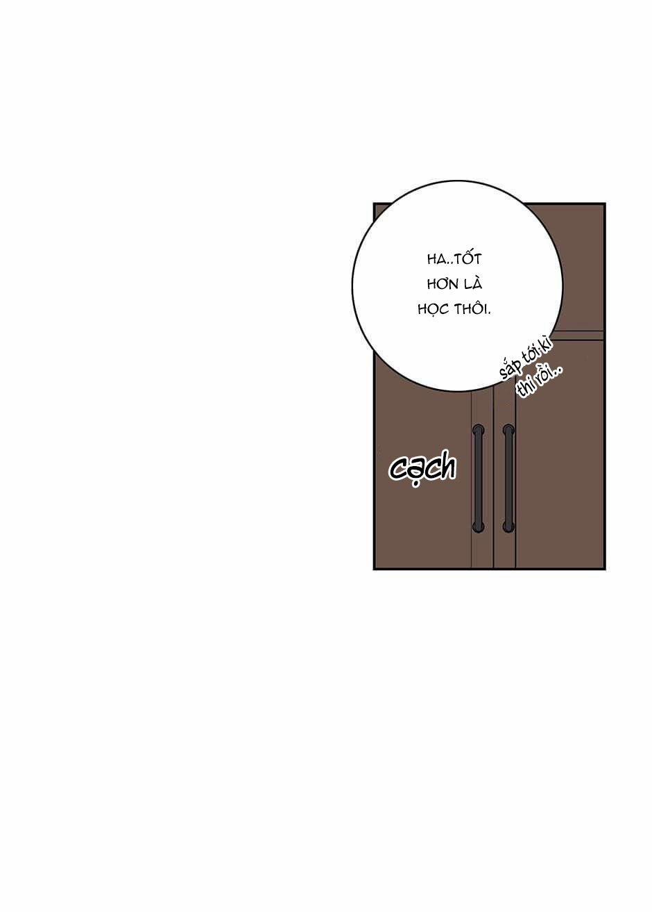 Toy Complex 33 trang 44