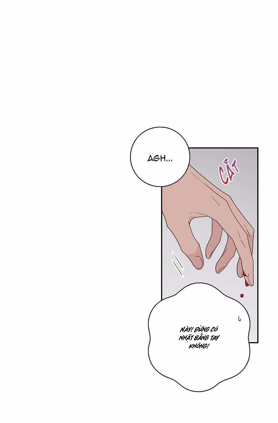 Toy Complex 35.3 trang 15