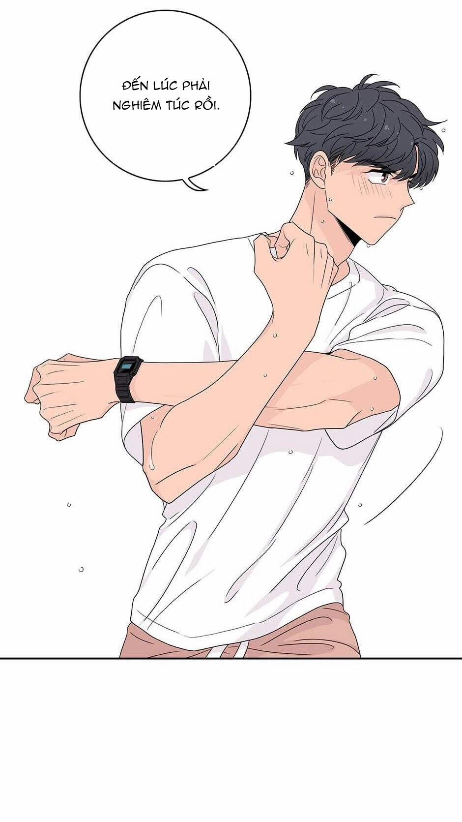 Toy Complex 37.2 trang 0