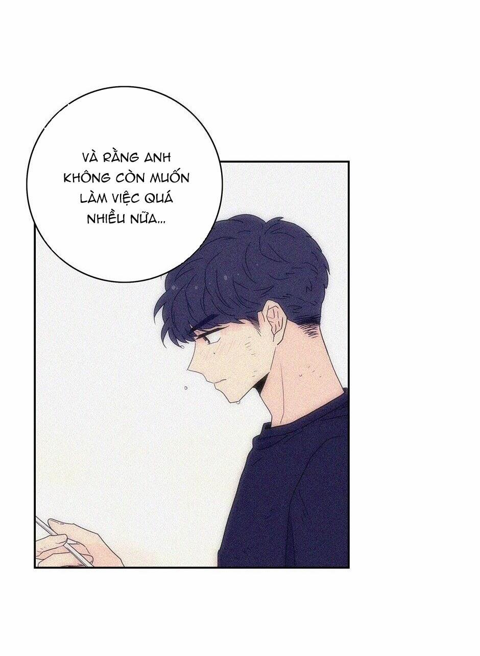 Toy Complex 37.2 trang 14