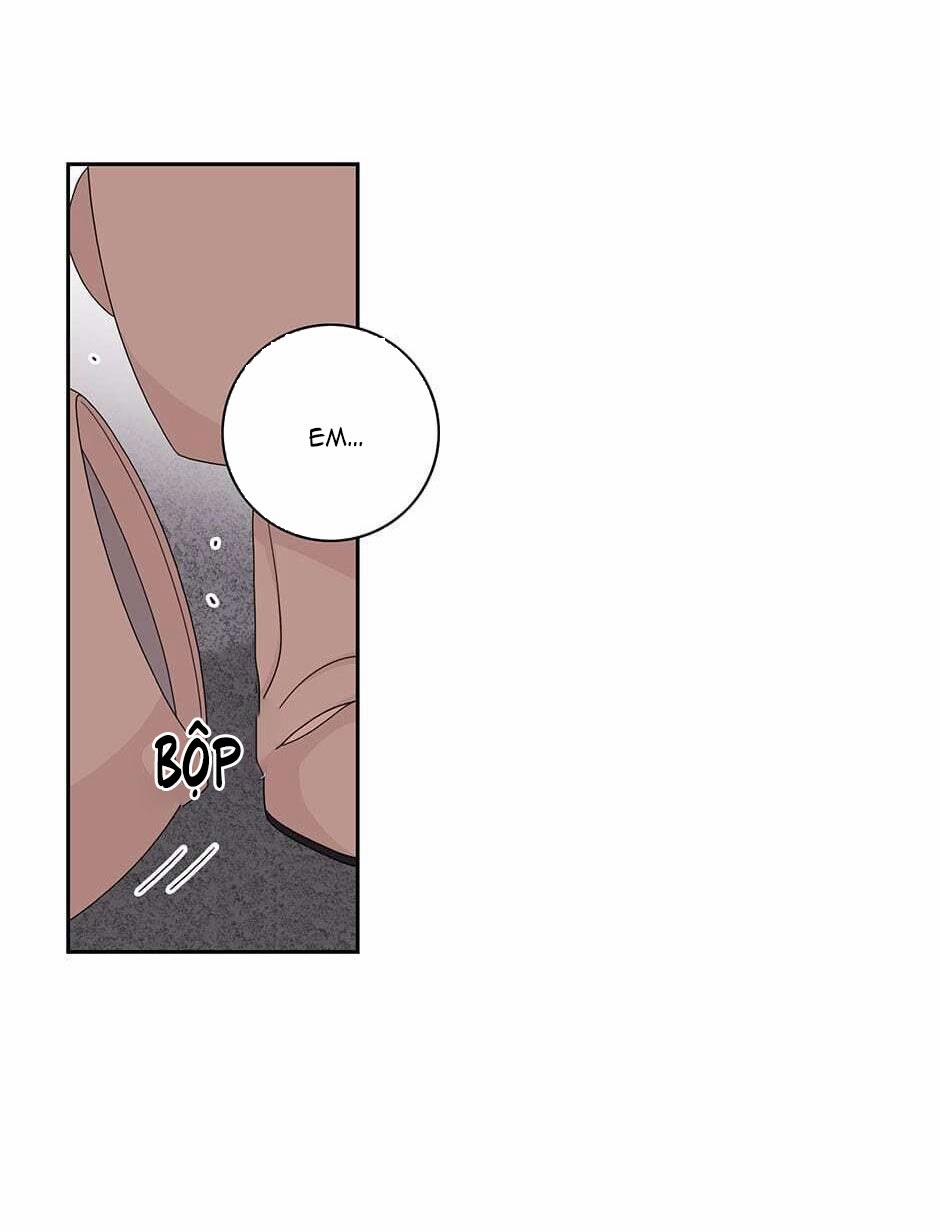 Toy Complex 37.3 trang 24